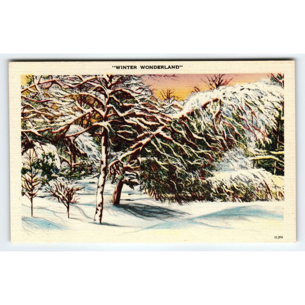 Vintage Linen Postcard Winter Wonderland Snow Scene 1930s-40s